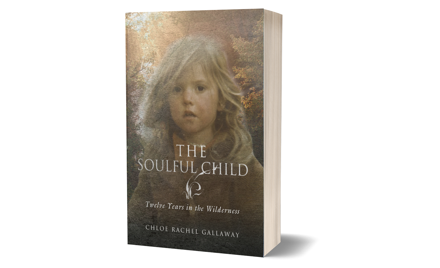 Odoo CMS- Sample image floating