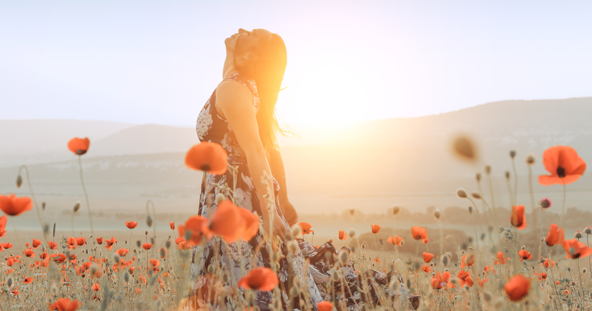 Odoo text and image block